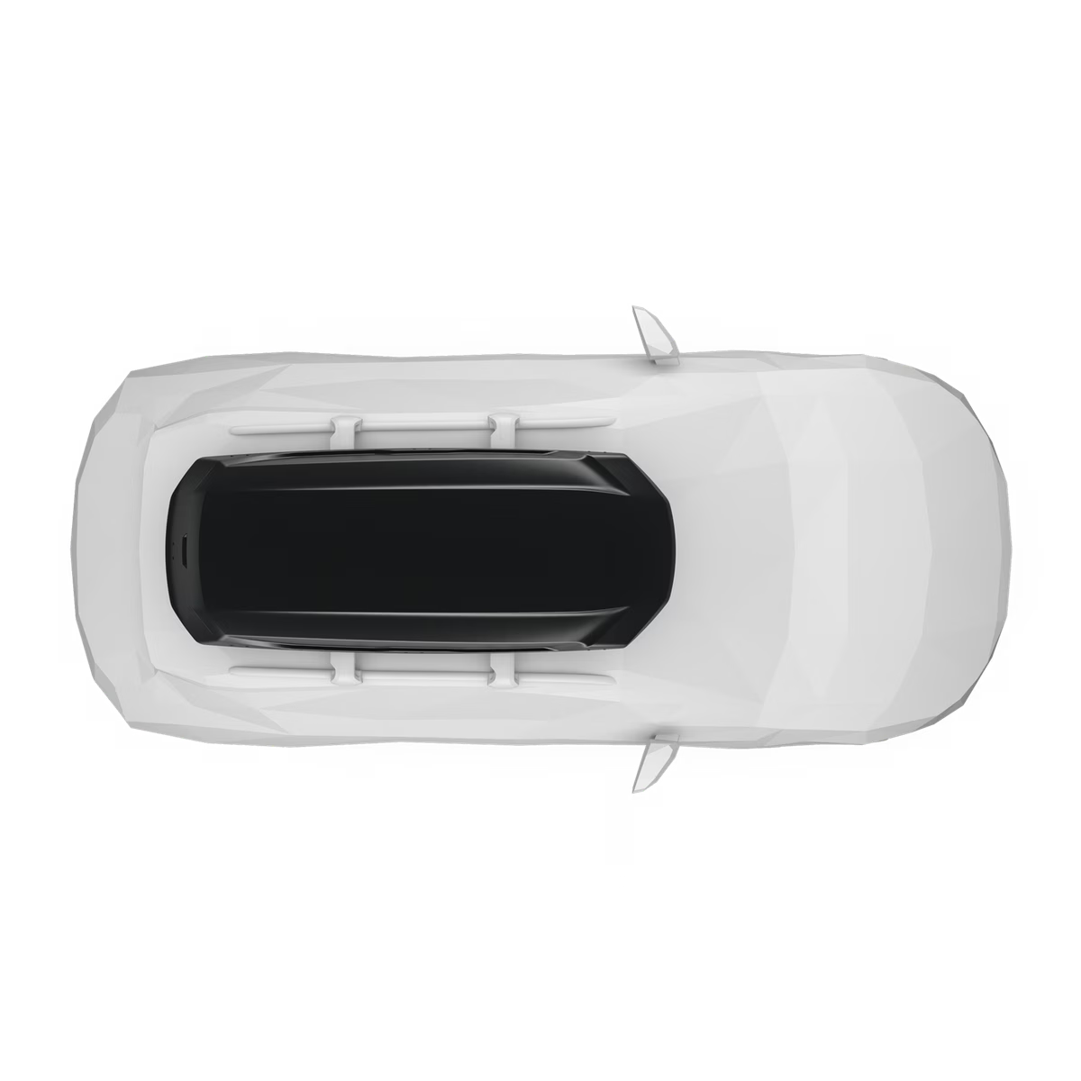 Cofre portaequipajes Thule Pulse 2 XL